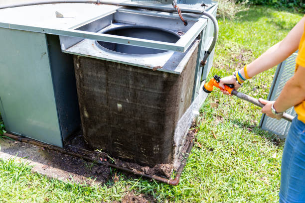 Best Air Duct Mold Removal  in East Camden, SC