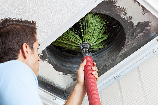 Best Emergency Air Duct Cleaning  in East Camden, SC